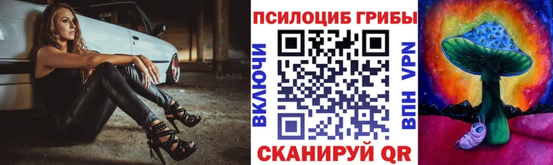 что такое наркотик  Пушкино  Псилоцибиновые грибы GOLDEN TEACHER 